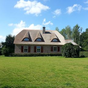 Rieten dak renoveren 